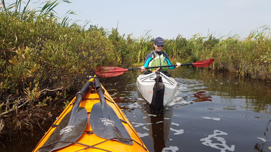 Luther Marsh Wildlife Management Area, Grand Valley