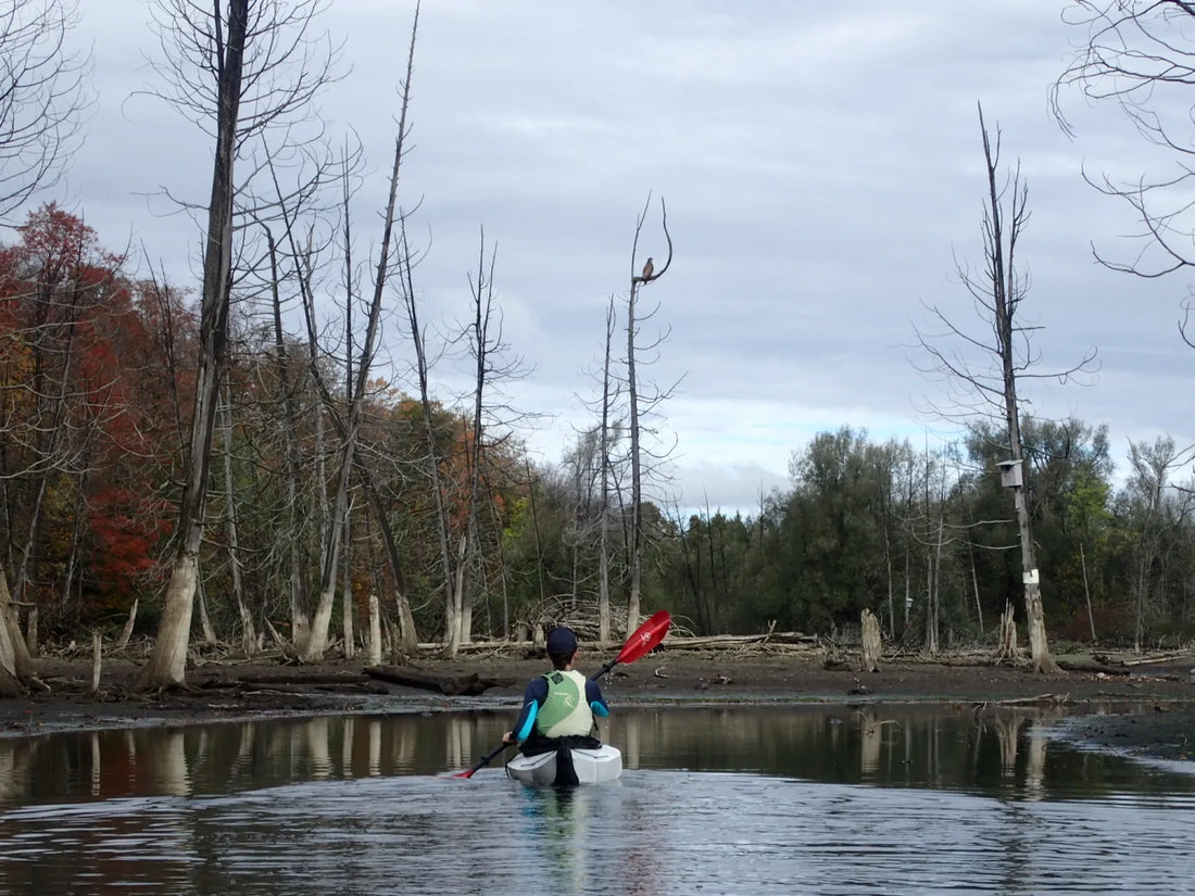 Guelph Lake Conservation Area, Guelph