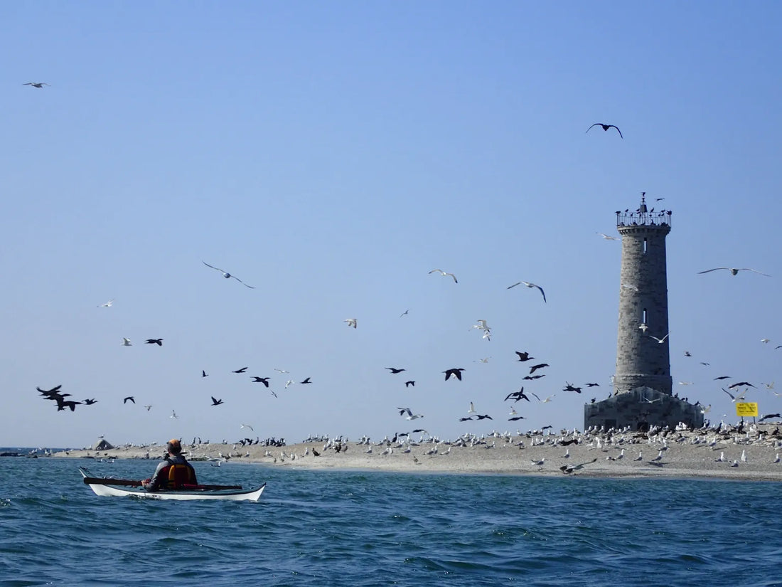 Mohawk Island, Port Maitland