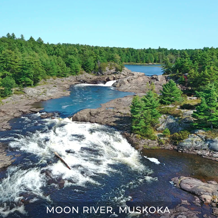 Sea Kayaking Trip: Masasauga Provincial Park and Moon River