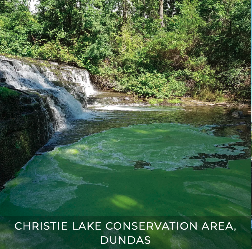 Christie Lake Conservation Area, Dundas