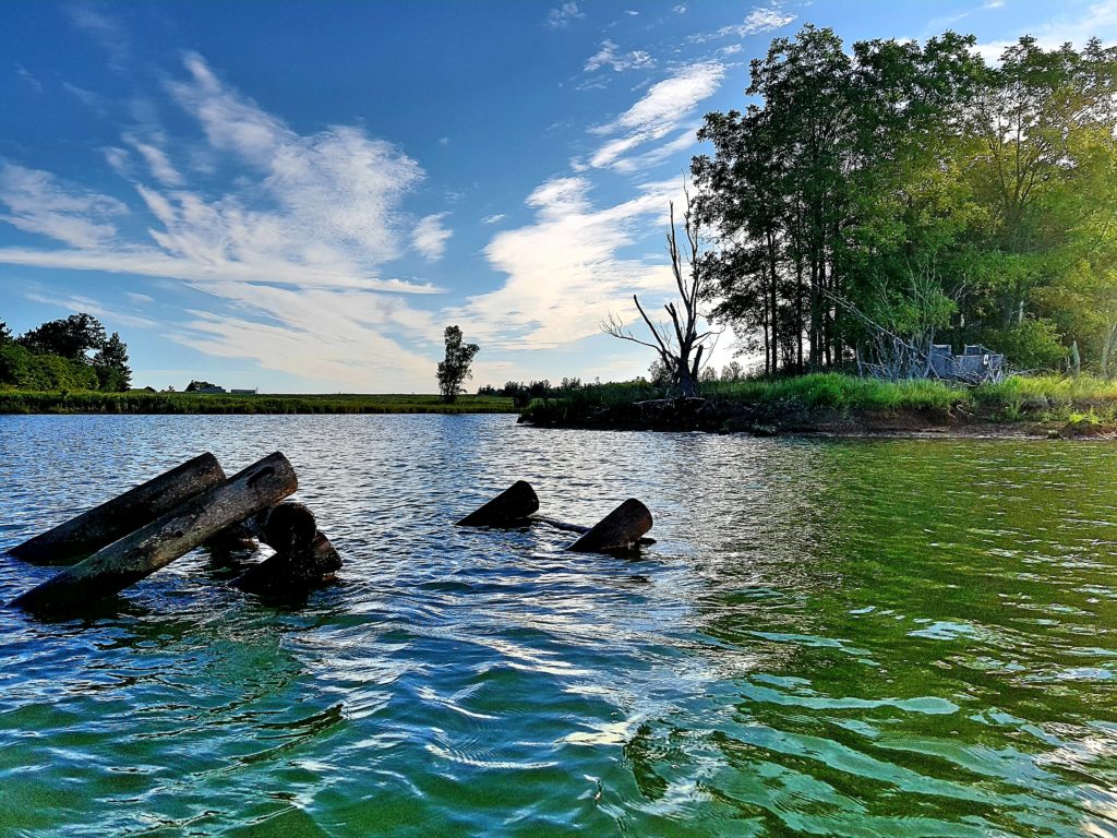 Lake Niapenco, Hamilton