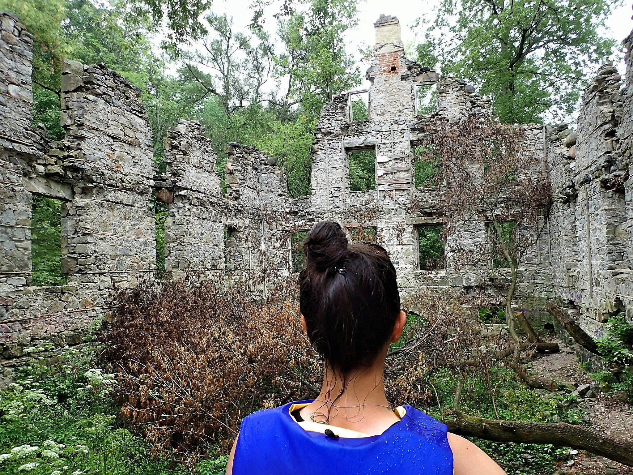 Grand River, Galt to Glen Morris