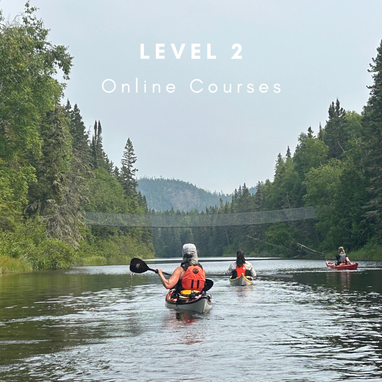 Online Courses - Level 2 Collection
