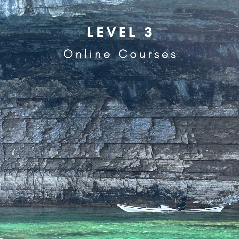 Online Courses - Level 3 Collection