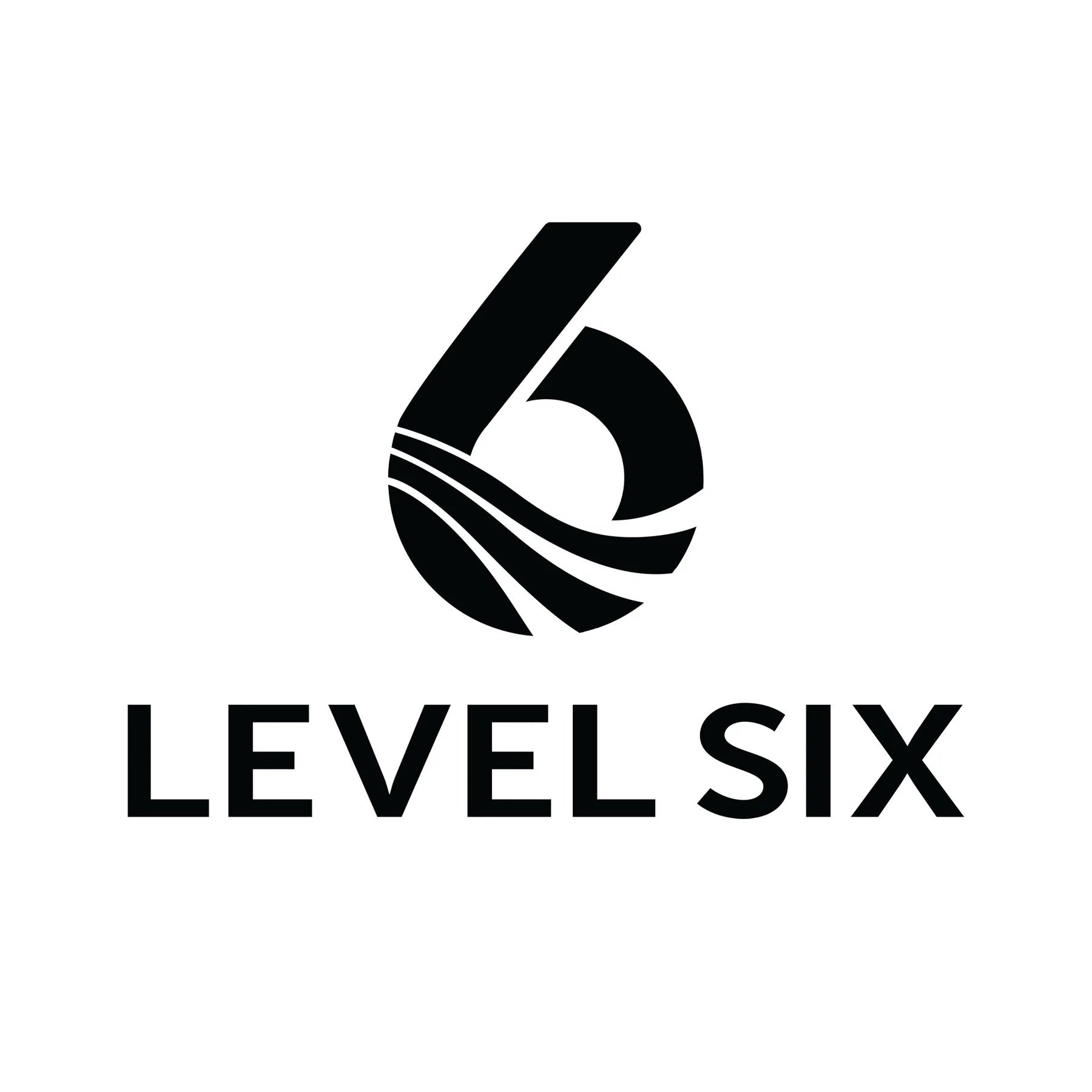 Level 6
