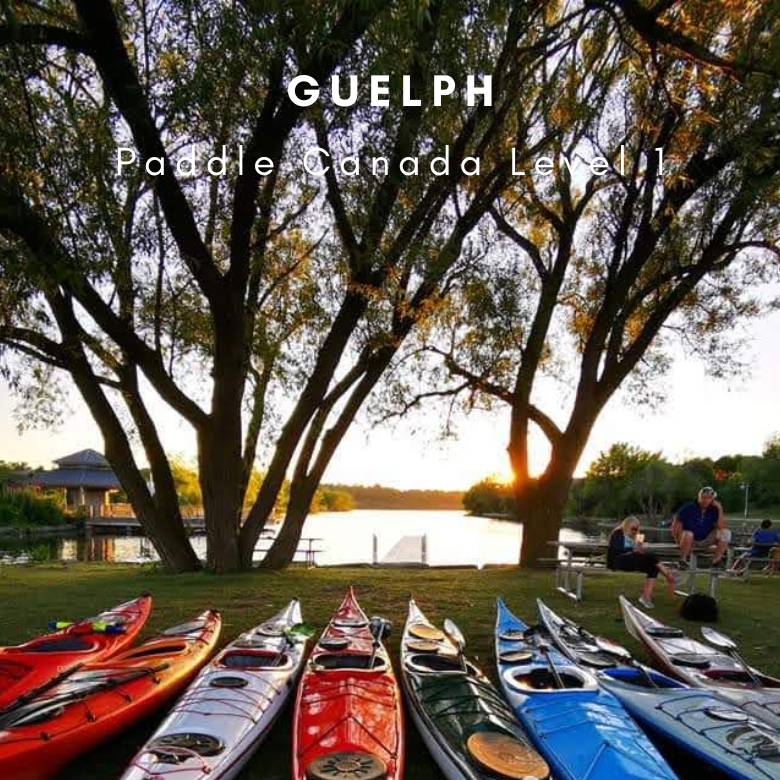 Kayak Ontario Level 1  Level 1 - Guelph