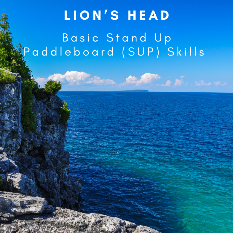 Basic Stand Up Paddleboard Skills - Lion's Head