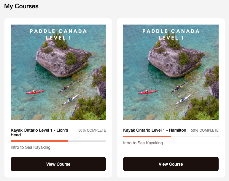 Level 1 - Online Companion