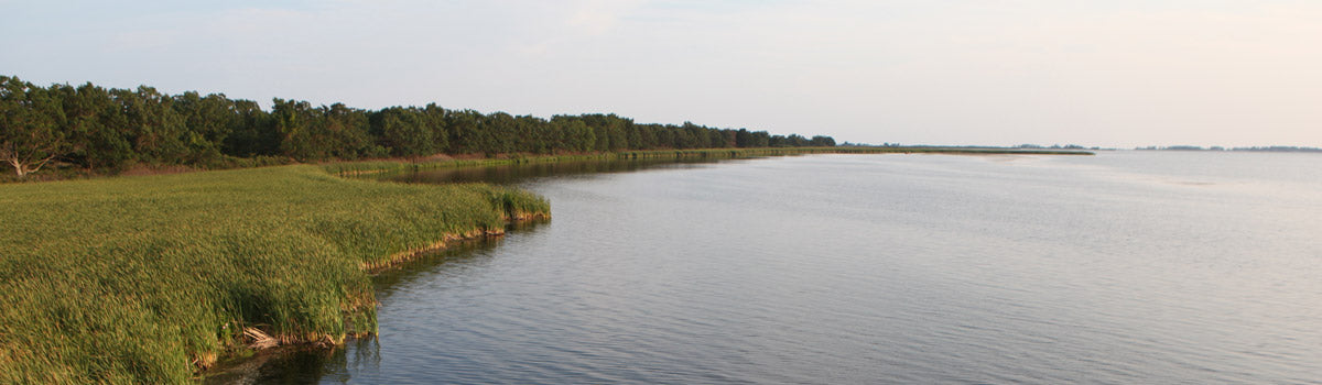 Kayak Ontario Level 1 - Rondeau